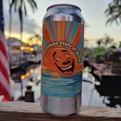 Civil Society Brewing - Sunshine state of mind beer from civil society brewery in West Palm Beach FL