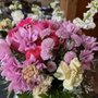 Photo of Cleopatra Flowers