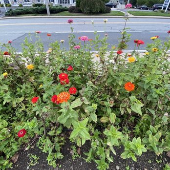 Pleasant Acres Nursery - Florists Near Me - Westerly, Rhode Island