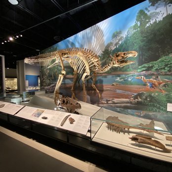 Royal Alberta Museum - Museums Near Me - Edmonton, Alberta
