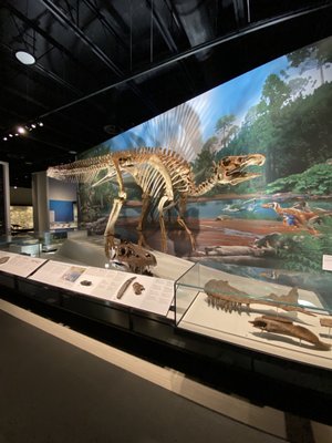 Royal Alberta Museum by null