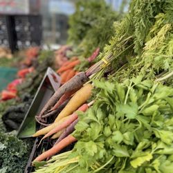 Everyone’s Harvest Seaside Certified Farmer’s Market - Veggies