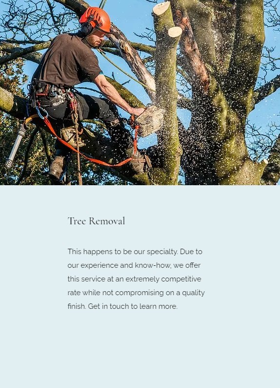 Sasquatch Tree Service - veterans service organization in Amanda, OH