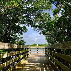 Town Square Nature Park