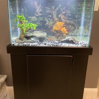 Splash Aquarium - Complete 20 gallon set for $79.99 (stand sold separately). Such a great deal! - Local Fish Stores Near Me - Sacramento, California Splash Aquarium - Complete 20 gallon set for $79.99 (stand sold separately). Such a great deal! - Local Fish Stores Near Me - Sacramento, California