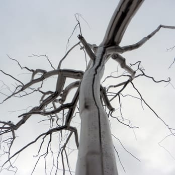 Iroquois Sculpture - Roxy Paine; Symbiosis; 2011, installed 2014; stainless steel - Art Galleries Near Me - Philadelphia, Pennsylvania Iroquois Sculpture - Roxy Paine; Symbiosis; 2011, installed 2014; stainless steel - Art Galleries Near Me - Philadelphia, Pennsylvania