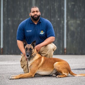 Middle Tennessee K9 - Pet Training Near Me - Nashville, Tennessee Middle Tennessee K9 - Pet Training Near Me - Nashville, Tennessee