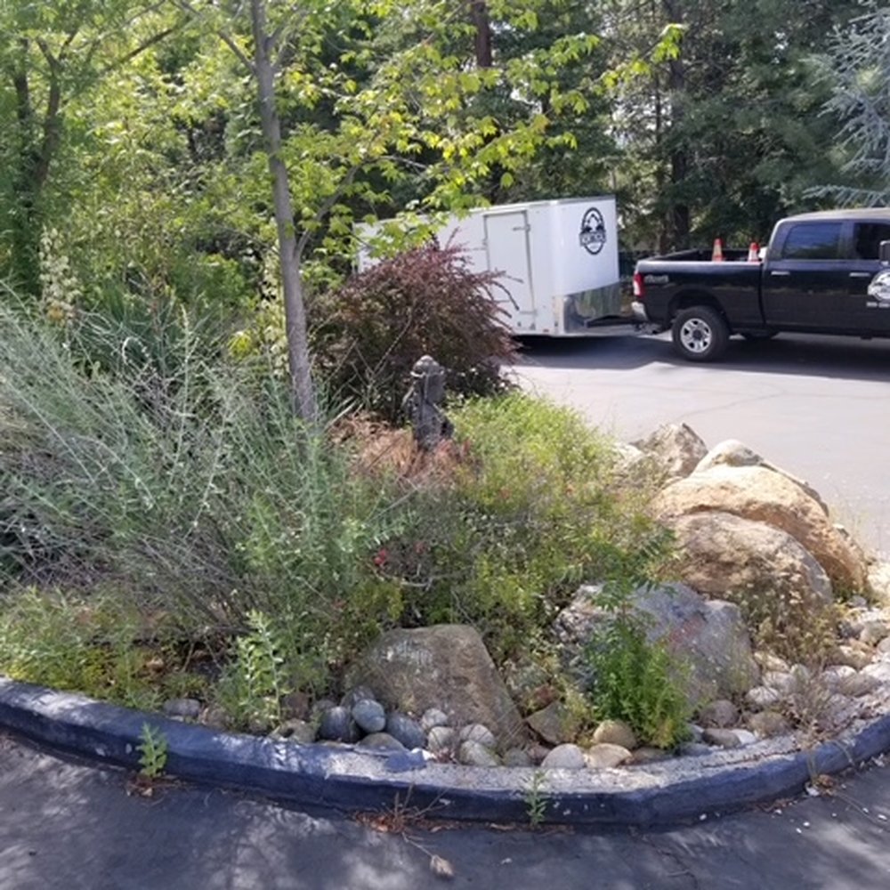 Weeding landscaped areas Weeding landscaped areas