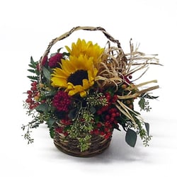 Twigs - Country Sunshine-$28.95