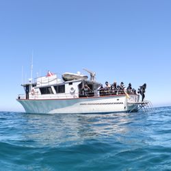 Pacific Star Dive Boat