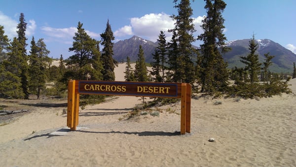 Carcross Desert by null