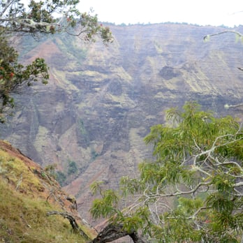 Puu Hinahina Lookout - Canyon view. - Parks Near Me - Waimea, Hawaii Puu Hinahina Lookout - Canyon view. - Parks Near Me - Waimea, Hawaii