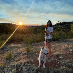 Loving Linda’s Pets - Niko for an evening stroll