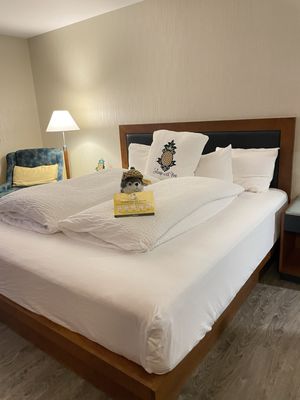 Watertown Hotel - A Staypineapple Hotel by null