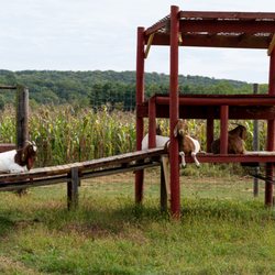 Melick Orchards