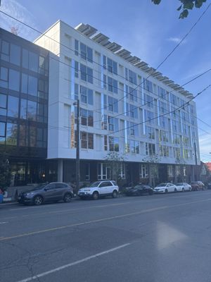 Liza Eastlake by null