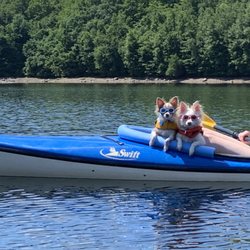 MDC West Branch Reservoir - Yes, those are Doggles for eye protection.