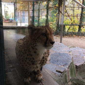 Tiergarten Schönbrunn - Zoos Near Me - Vienna, 9