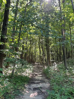 Bird Hills Nature Area by null