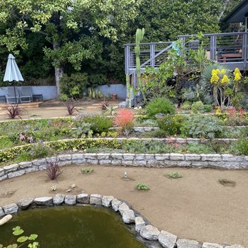 Droughtscape LA - Fish pond. - Landscaping Near Me Droughtscape LA - Fish pond. - Landscaping Near Me