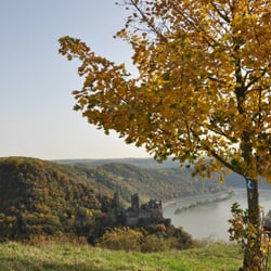 Drei Burgenblick - 2012_10, Goldener Oktober, Burg Katz
