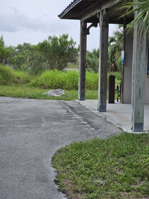 Pelican Island National Wildlife Refuge by null