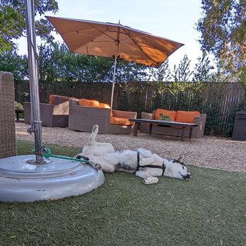 Epiphany Cellars - Wine Tasting Room Near Me - Los Olivos, California