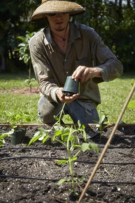 Ready-to-Grow Gardens by null