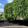 Photo of Schmidty’s Landscaping