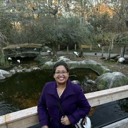 me and a zoo me and a zoo