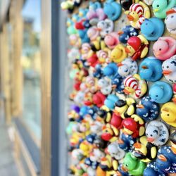 Duck Wall details
