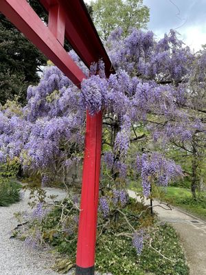 Conservatoire et Jardin botaniques de Genève by null