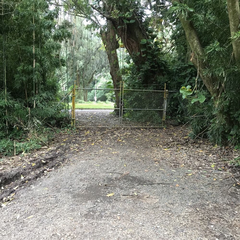 Lulumahu Falls - The view inside the hiking area - Hiking Near Me - Honolulu, Hawaii