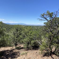 Dorothy Stewart Trail