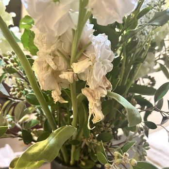 Wildflower & Fern - I received this bouquet today and I saw they used dead flower. You're SO wrong. - Florists Near Me - Oakland, California Wildflower & Fern - I received this bouquet today and I saw they used dead flower. You're SO wrong. - Florists Near Me - Oakland, California