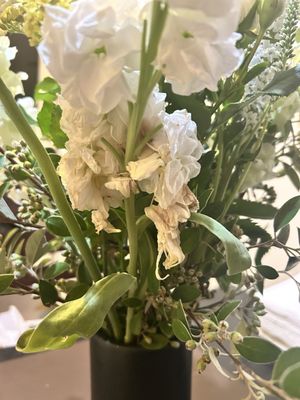 Wildflower & Fern by null