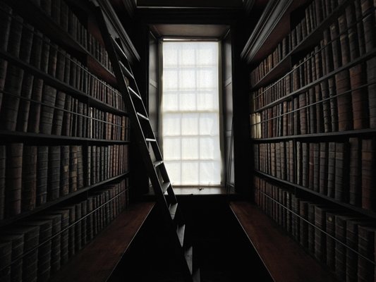 Marsh’s Library by null