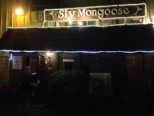 Sly Mongoose by null