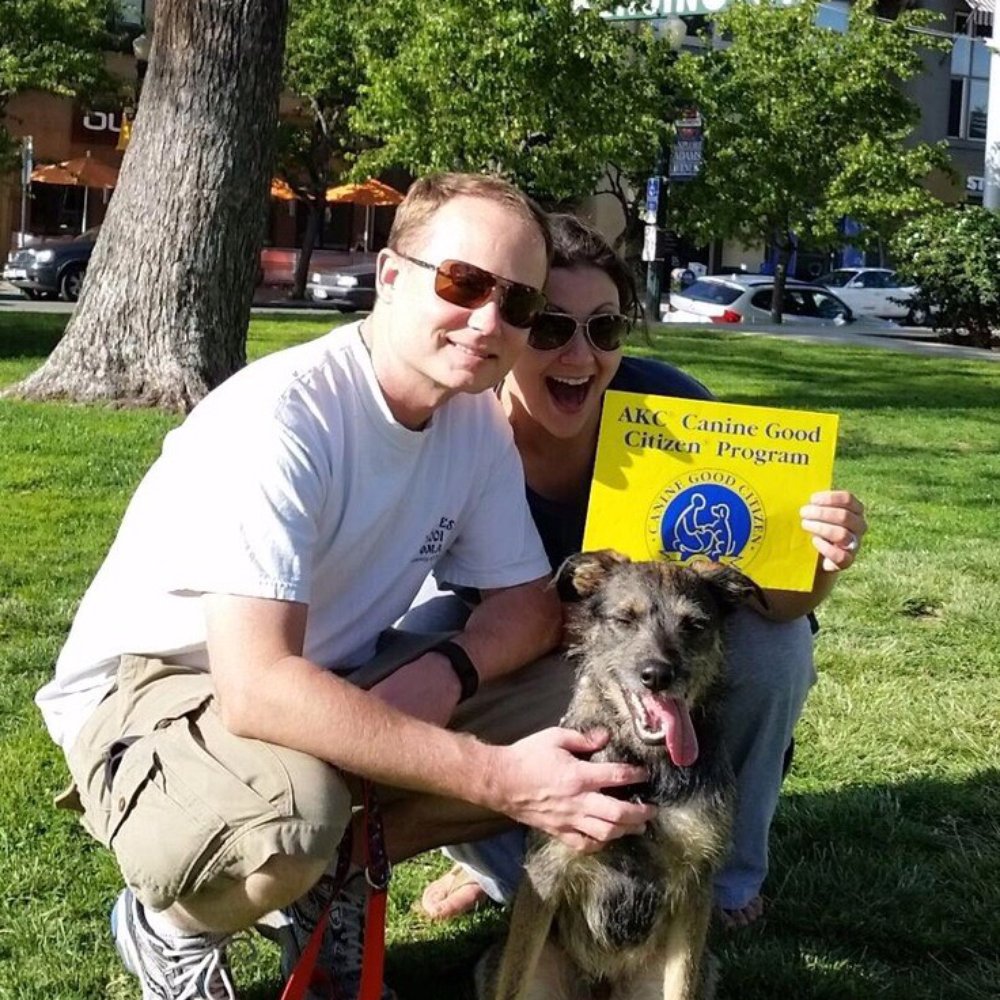 Dogs With Dave - Branson gets his Canine Good Citizens Certificate - Thanks Dave! - Pet Training Near Me Dogs With Dave - Branson gets his Canine Good Citizens Certificate - Thanks Dave! - Pet Training Near Me
