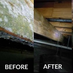 Restoration 1 Of Hartland - Mold Remediation in Hartland, MI