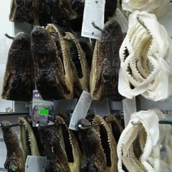 Oceanic Gifts & Beachwear