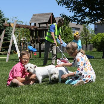 Pet Butler - Pet Waste Removal Near Me Pet Butler - Pet Waste Removal Near Me