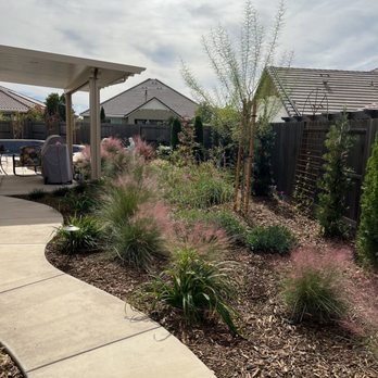 Geremia Pools & Landscaping - Lovely west side of our yard with and patio cover! - Landscaping Near Me - Sacramento, California