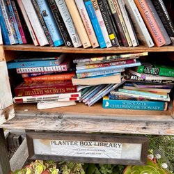 Planter Box Mini Free Library - Books books books