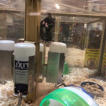 Pet Supermarket - Pet Stores Near Me - Miami, Florida Pet Supermarket - Pet Stores Near Me - Miami, Florida