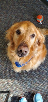 Endeavor Physical Therapy