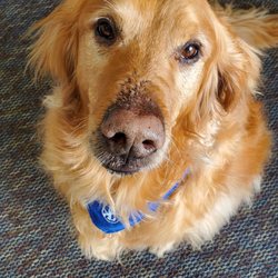 Endeavor Physical Therapy - The staff is very friendly and floofy.