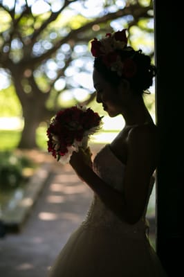 Moanalua Gardens by null
