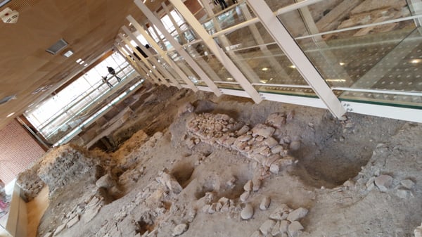 Domus del Chirurgo by null