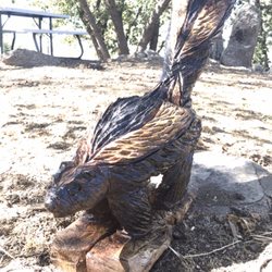 Chainsaw Coop - Skunk Sculpture by Cooper Davidson "ChainsawCoop"